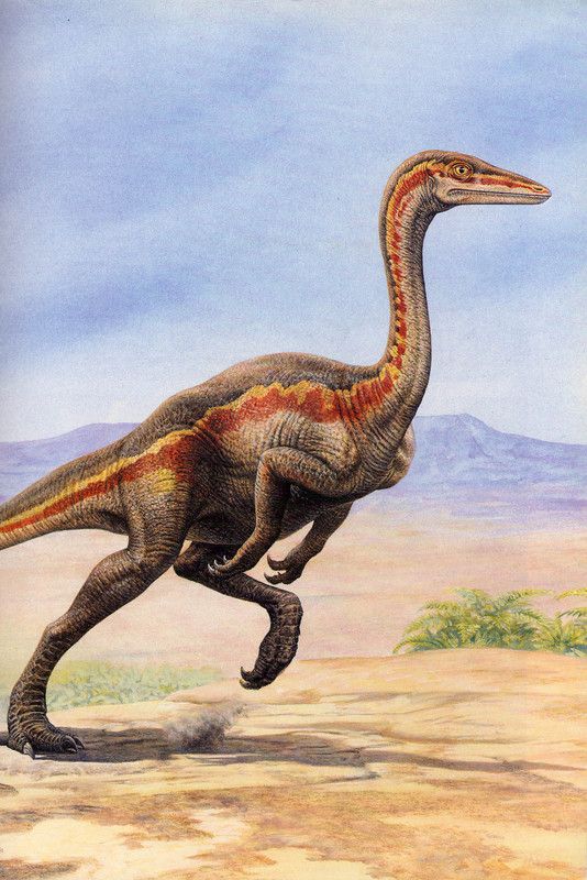 Préhistoire-dinosaures -Saurischiens-groupe Théropodes -