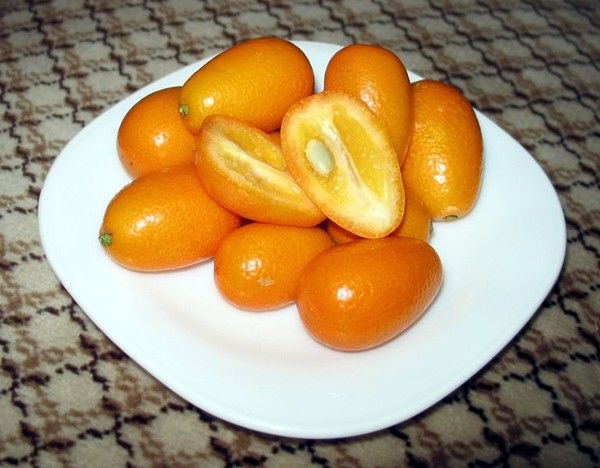 Les fruits - Le Kumquat -