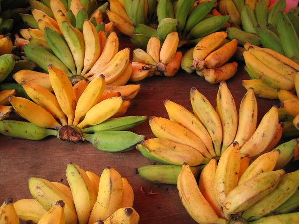 Les fruits - La banane -