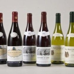 La vigne et le vin - Vin de Bourgogne -