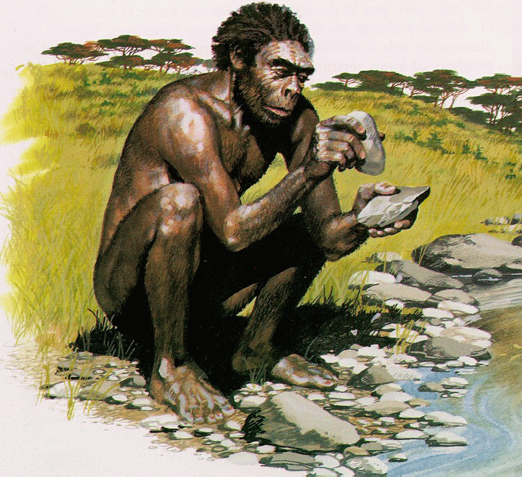 Préhistoire - hominidés - homo - habilis -