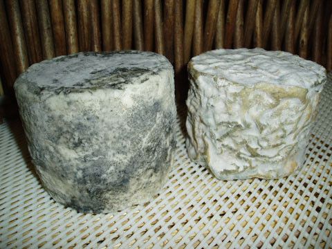 Les fromages - La Bonde de Gatine -