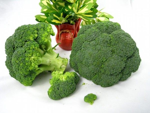 Les légumes - Le Brocoli -