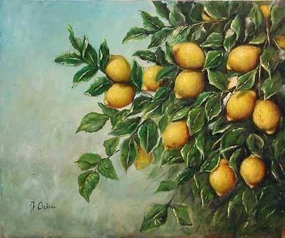 Les fruits - Le Citron -