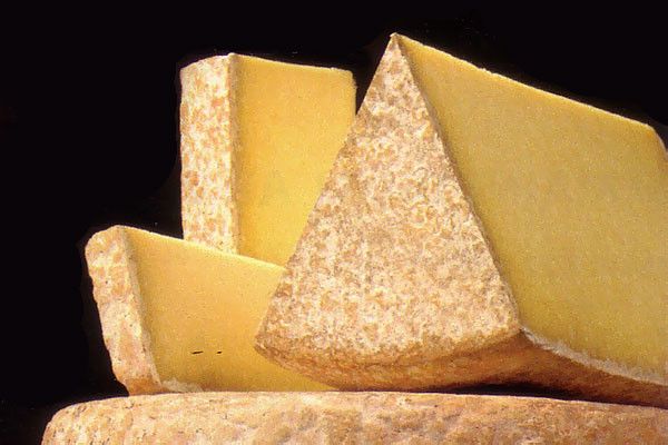 Fromages - Cantal - 