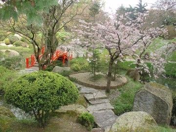 Le(s) Jardin(s)- Le jardin Japonais -