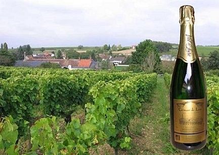 La vigne et le vin - Crémant de Loire -
