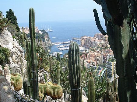 Parcs et jardins - Le jardin exotique de Monaco - 1-