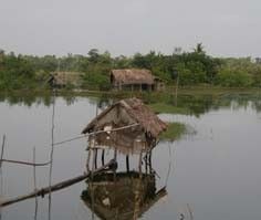 Parcs, réserves... - Bangladesh. Les Sundarbans   -