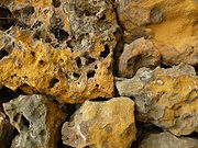 Les roches - L'Alios -