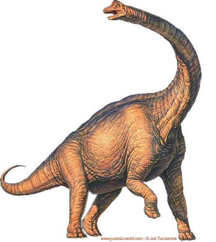 Les dinosaures - Le Brachiosaure (Brachiosaurus)