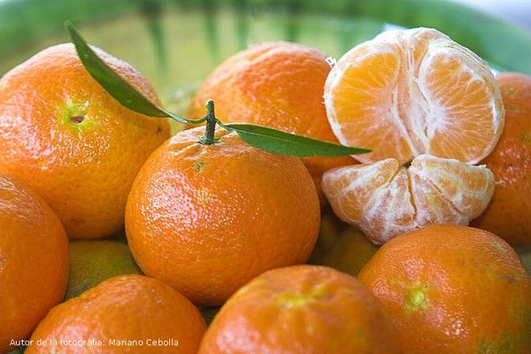 Less fruits - Mandarine -