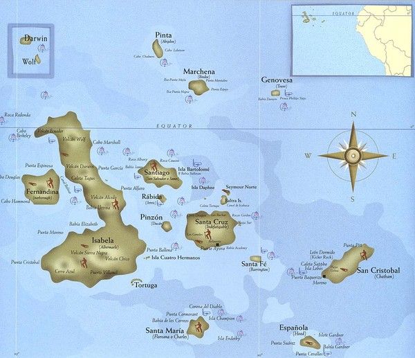 Patrimoine mondial - Les Iles Galapagos-