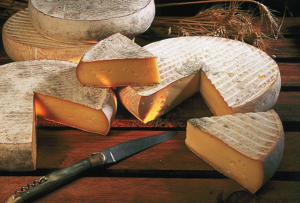 les fromages - Le st nectaire - 