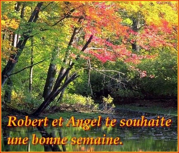 Bonne semaine... Cadeau de Robert et Angel....