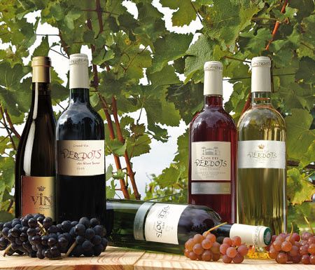 La vigne et le vin - Vin de Bergerac -