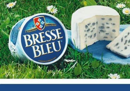 Les fromages - Le bresse bleu - 