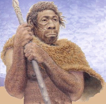Préhistoire - hominidés - homo - neanderthalensis -