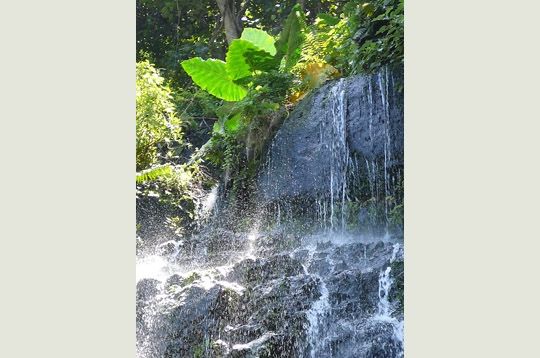 cascade-tahiti-267599-21aca20.jpg