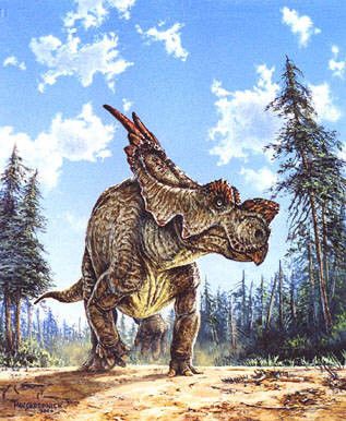 Les dinosaures - l'Achelousaurus -