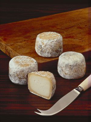 Les fromages - Le crottin de Chavignol -