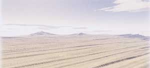 Les déserts - Les dunes de l'Erg - Les dunes parallèles
