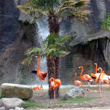 Parcs, réserves...  Le zoo de la palmyre - 