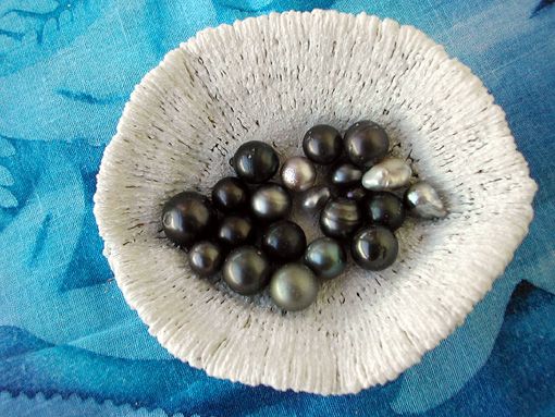 perles-noires-des-tuamotu-1183003354.jpg