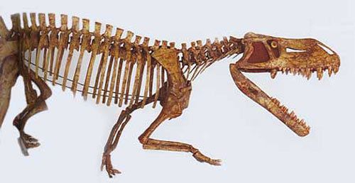 prestosuchus.jpg